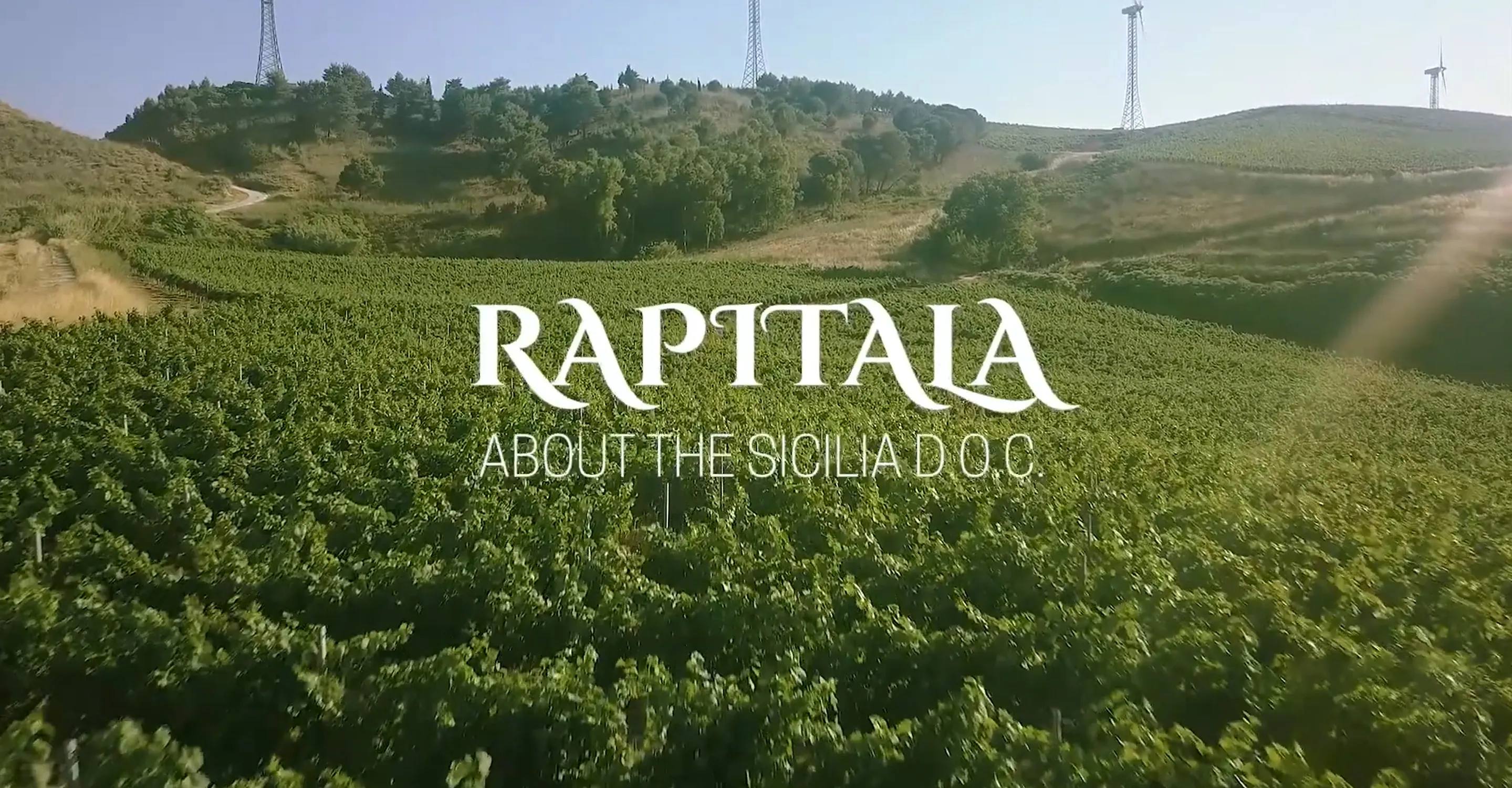 Tenuta Rapitalà - Frederick Wildman & Sons